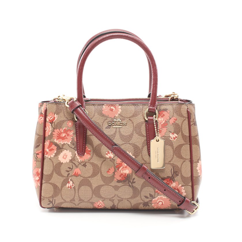 mini surrey carryall
